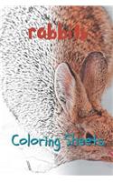 Rabbit Coloring Sheets: 30 Rabbit Drawings, Coloring Sheets Adults Relaxation, Coloring Book for Kids, for Girls, Volume 12