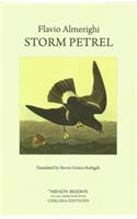 Storm Petrel