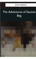 The Adventures of Seumas Beg: The Rocky Road to Dublin