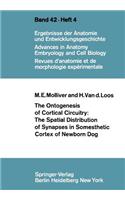 Ontogenesis of Cortical Circuitry: The Spatial Distribution of Synapses in Somesthetic Cortex of Newborn Dog