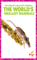 World's Smallest Mammals