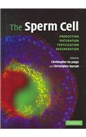 The Sperm Cell: Production, Maturation, Fertilization, Regeneration