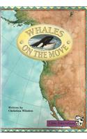 Little Celebrations, Whales on the Move, Single Copy, Fluency, Stage 3b