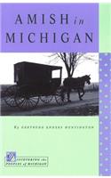 Amish in Michigan