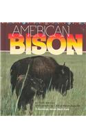 American Bison Hb