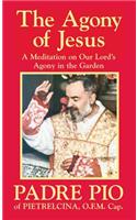 Agony of Jesus: In the Garden of Gethsemane(English)