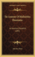 Anatomy Of Bdellodrilus Illuminatus