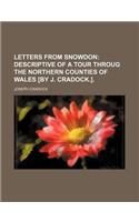 Letters from Snowdon; Descriptive of a Tour Throug the Northern Counties of Wales [By J. Cradock.].: (English)