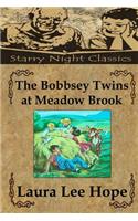 The Bobbsey Twins at Meadow Brook: (7 Bobbsey Twins)