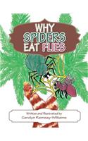 Why Spiders Eat Flies