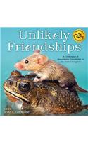 Unlikely Friendships Mini Wall Calendar 2020