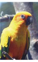 Yellow Parrot Journal: 150 page lined notebook/diary