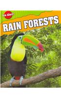 Rain Forests