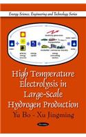 High Temperature Electrolysis in Large-Scale Hydrogen Production