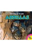 Ardillas, With Code: (Animales en Mi Patio)