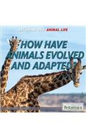 How Have Animals Evolved and Adapted?
