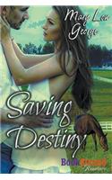Saving Destiny (Bookstrand Publishing Romance): Bookstrand Publishing Romance
