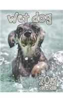 Wet Dog 2019 Calendar