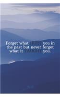 Forget what HURT you in the past but never forget what it TAUGHT you.