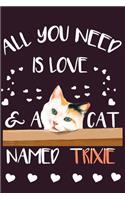 All You Need is Love and a Cat Named Trixie