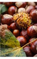 Chestnuts Journal