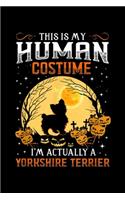 this is my human costume I'm actually a Yorkshire Terrier