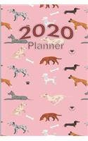 2020 Planner