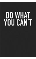 Do What You Can't
