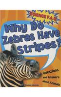 Why Do Zebras Have Stripes?