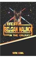 Best Belgian Malinoi in the Galaxy Writing Journal