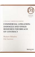 Commercial Litigation