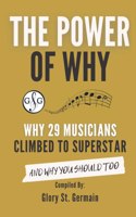 Power of Why 29 Musicians Climbed to Superstar