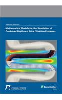 Mathematical models for the simulation of combined depth and cake filtration processes.