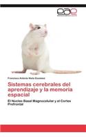 Sistemas Cerebrales del Aprendizaje y La Memoria Espacial: (Spanish)