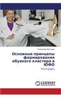 Osnovnye Printsipy Formirovaniya Obuvnogo Klastera V Yufo