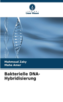 Bakterielle DNA-Hybridisierung