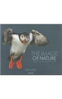 Image of Nature
