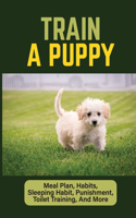 Train A Puppy: Meal Plan, Habits, Sleeping Habit, Punishment, Toilet Training, And More: Behavior Training For Puppy