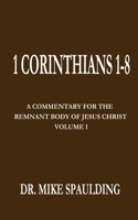 1 Corinthians 1-8