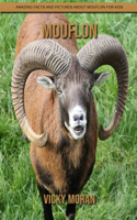 Mouflon