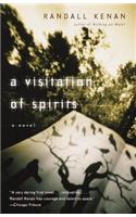 A Visitation of Spirits: A Novel(Vintage Contemporaries)