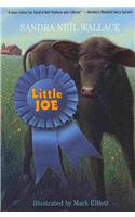 Little Joe