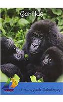 Gorillas