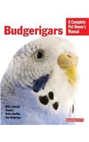 Budgerigars