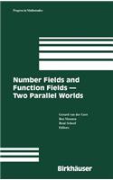 Number Fields and Function Fields - Two Parallel Worlds