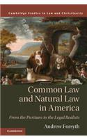 Common Law and Natural Law in America