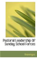 Pastoral Leadership of Sunday School Forces