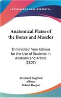 Anatomical Plates of the Bones and Muscles