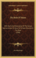 The Birds Of Maine