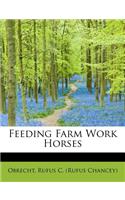 Feeding Farm Work Horses